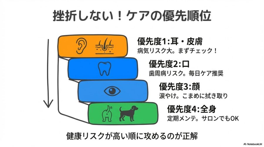 ケアの優先順位。1.耳・皮膚、2.口、3.顔、4.全身の順。健康リスクが高い部位から始めることを推奨。