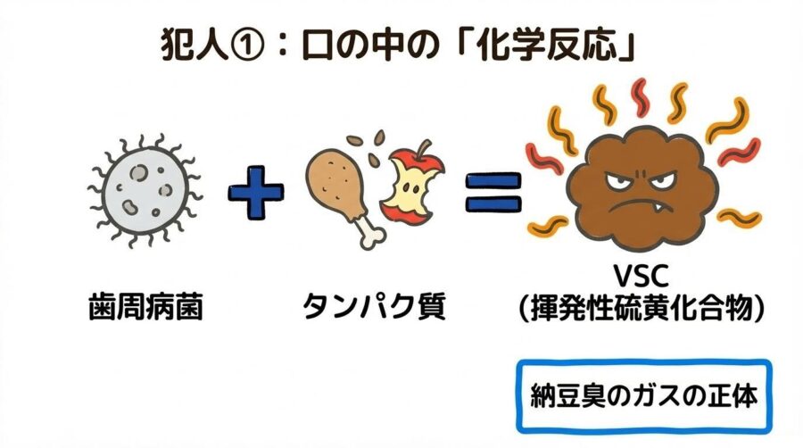 毛管現象の仕組みの図解。水分が毛の根元へ吸い上げられる様子を、センター配置で表現した画像。