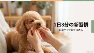 飼い主に口周りを拭いてもらうトイプードル。この記事のテーマである「トイプードル 口 臭い」を解消し、愛犬との親密な時間を守るためのケアを象徴する一枚。