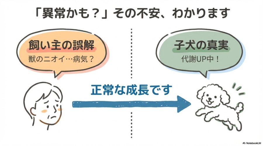 飼い主の不安に寄り添う内容。子犬特有の「獣のようなニオイ」は、代謝が活発になっている正常な成長過程であることを説明。