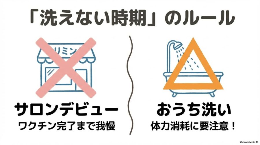 洗えない時期のルール。サロンデビューはワクチン完了まで我慢し、おうち洗いも体力を消耗させるため注意が必要であることを解説。