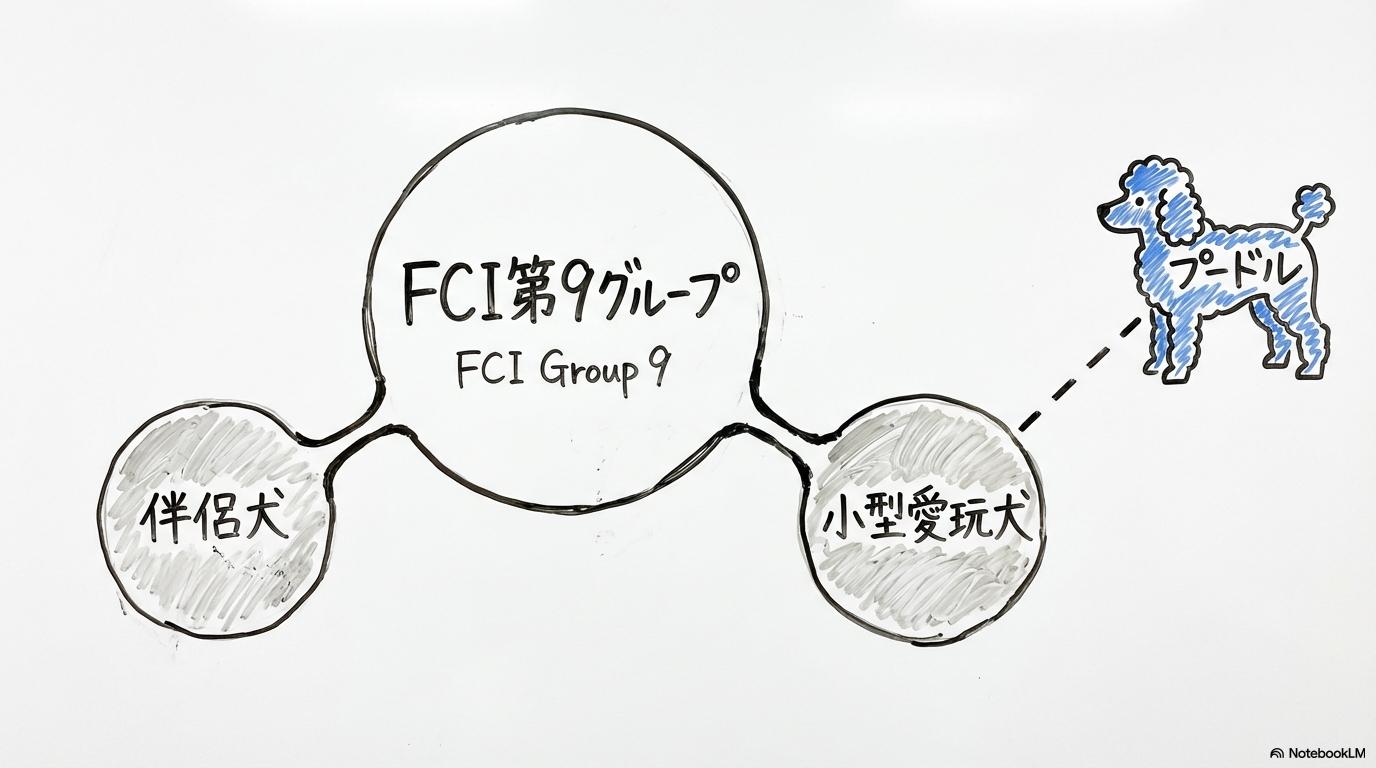 FCI第9グループの仕組み。中央のメインテーマから伴侶犬と小型愛玩犬へ分岐し、プードルが分類されていることを示した図解。