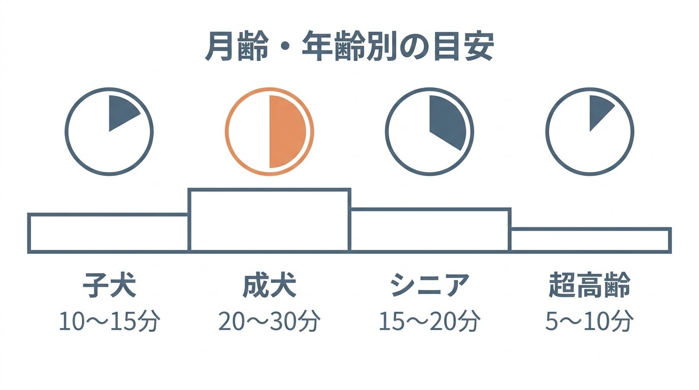 トイプードルの適切な散歩時間と運動量の目安