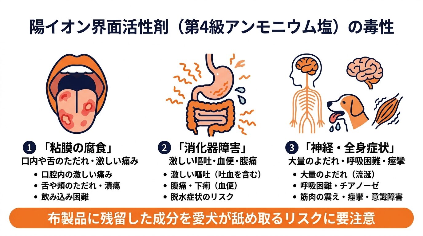 陽イオン界面活性剤(第四級アンモニウム塩)が犬の口腔粘膜や消化器に及ぼす影響図解