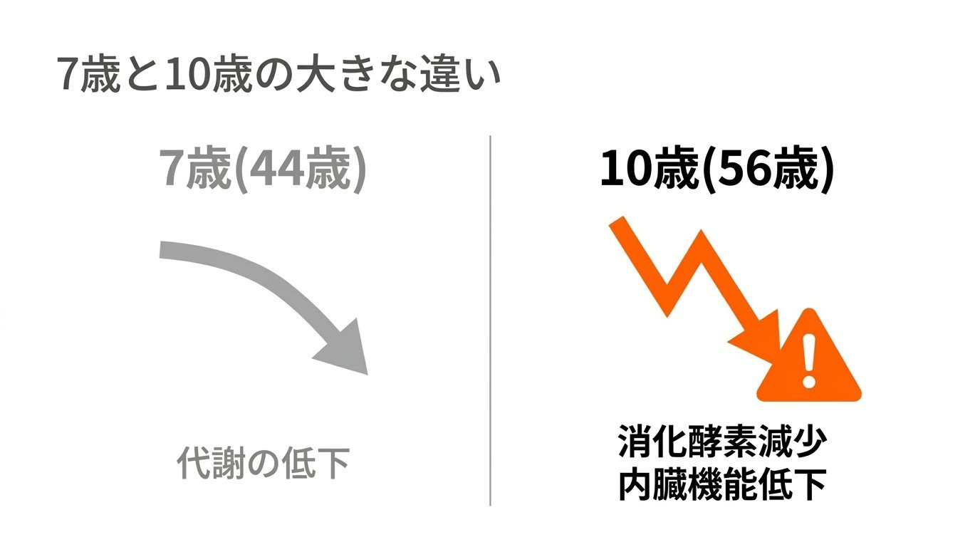 7歳と10歳の大きな違い（代謝低下から消化酵素減少・内臓機能低下への進行）