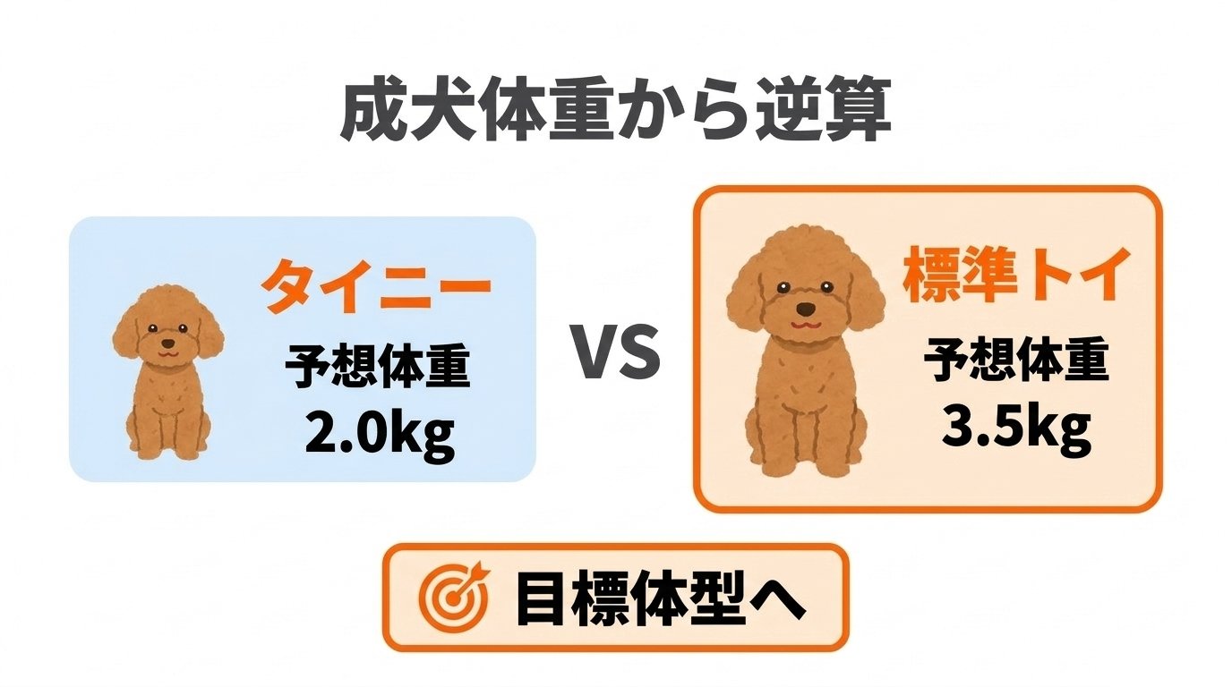 タイニー予想体重と標準トイ予想体重から逆算する目標体型管理