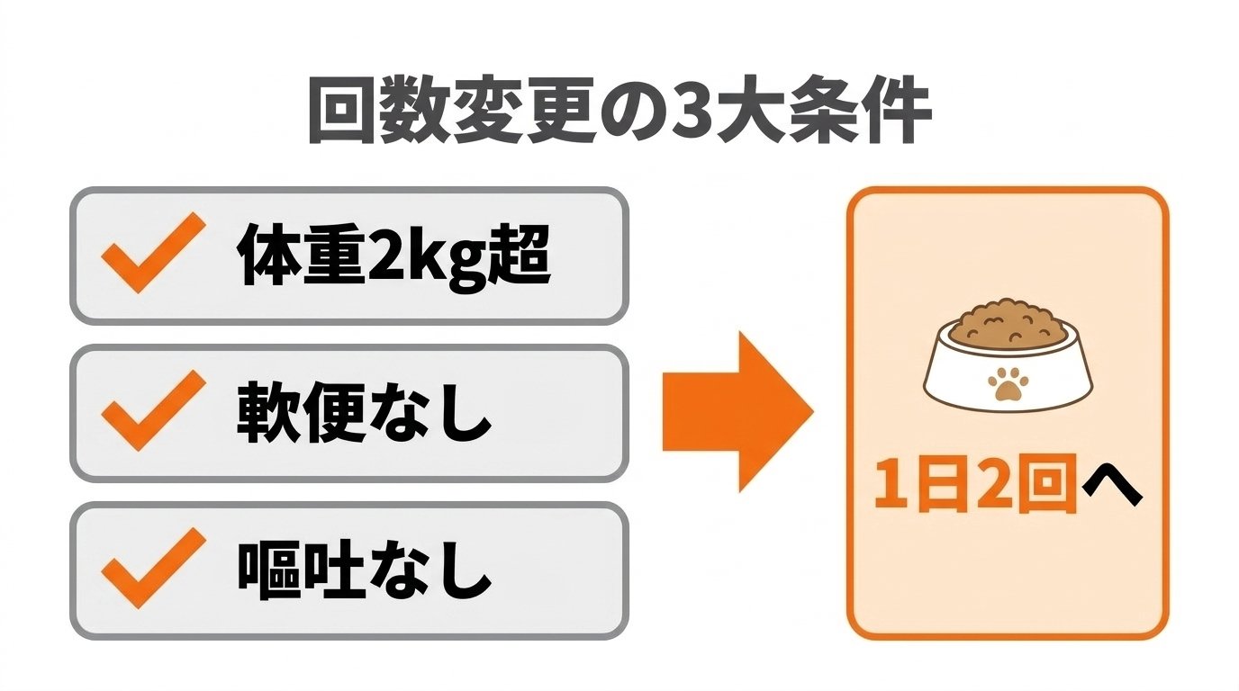 食事回数を1日3回から2回へ変更するための3大必須条件