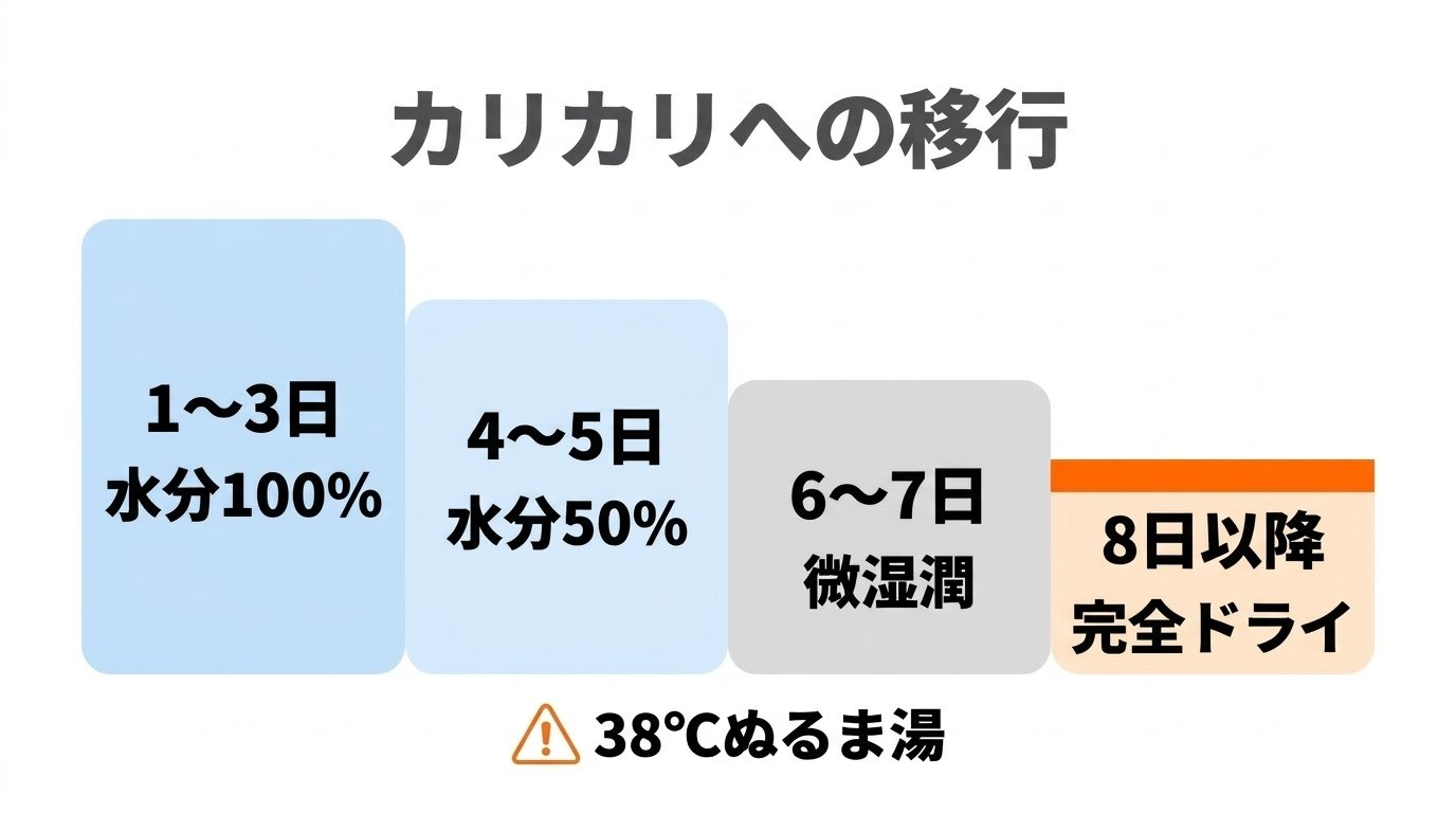 38℃ぬるま湯から完全ドライフードへ移行する4段階ステップ