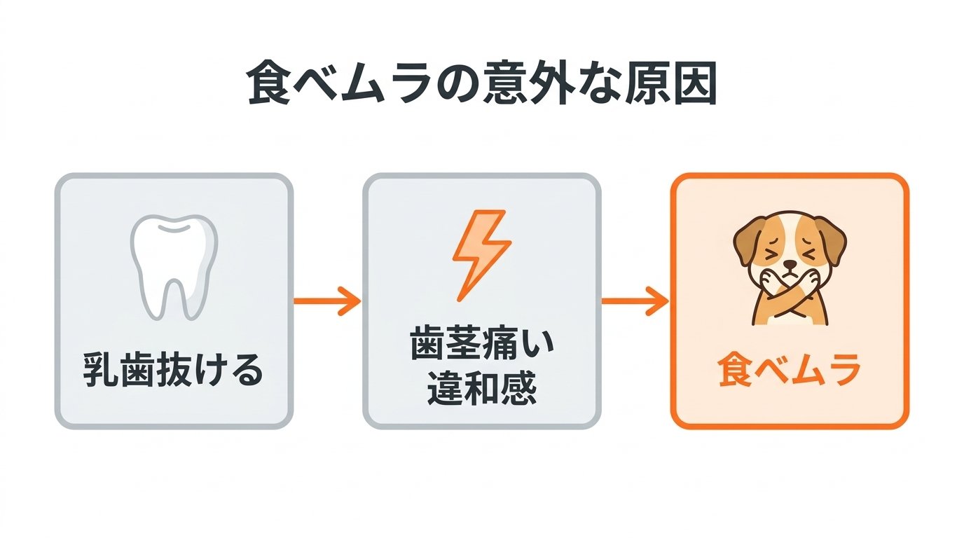 生後4ヶ月の乳歯生え変わりと歯茎の痒みによる突発的食べムラのメカニズム