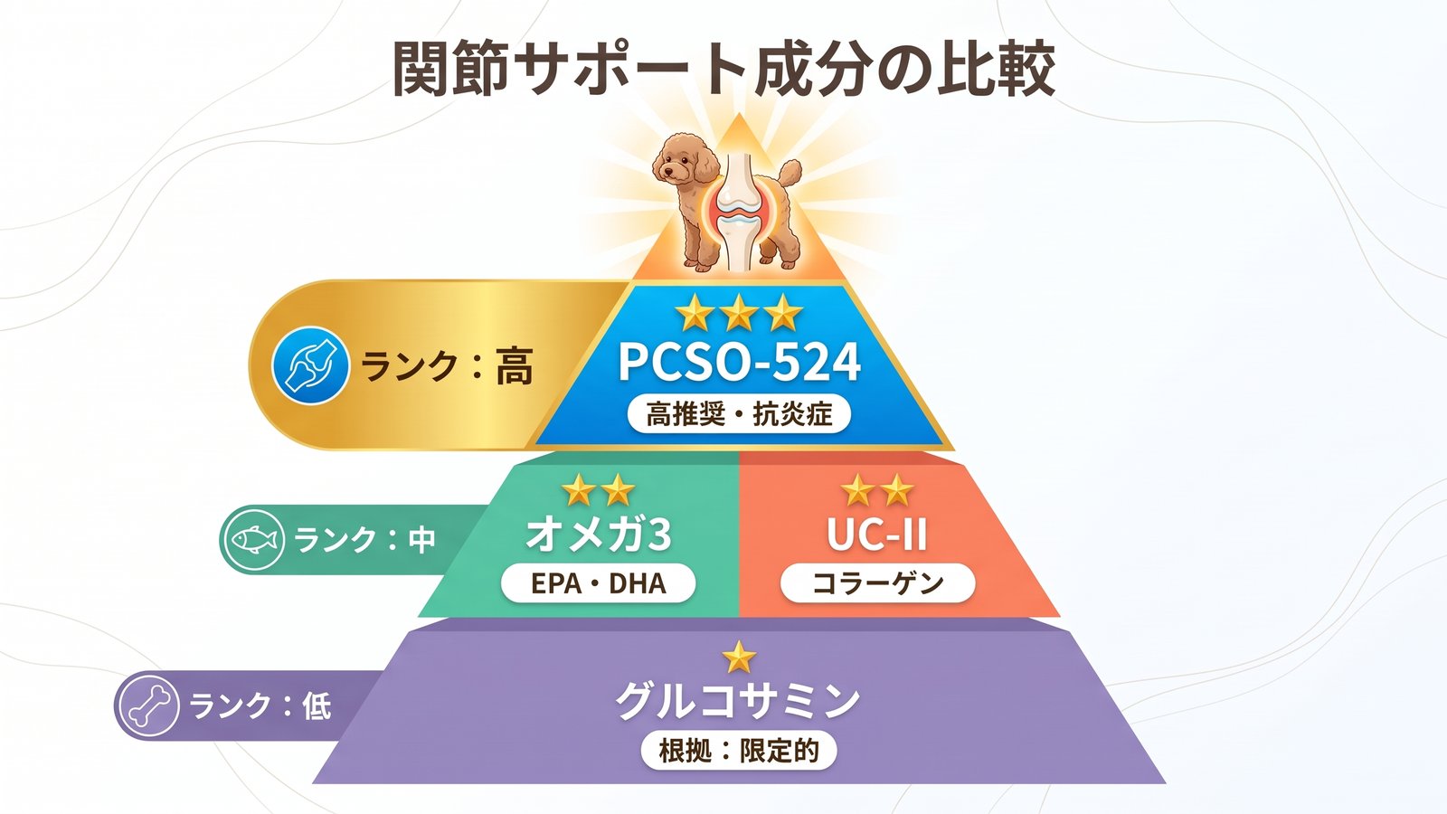 関節サポート成分の科学的比較(オメガ3・PCSO-524 vs 一般軟骨成分のエビデンス図)