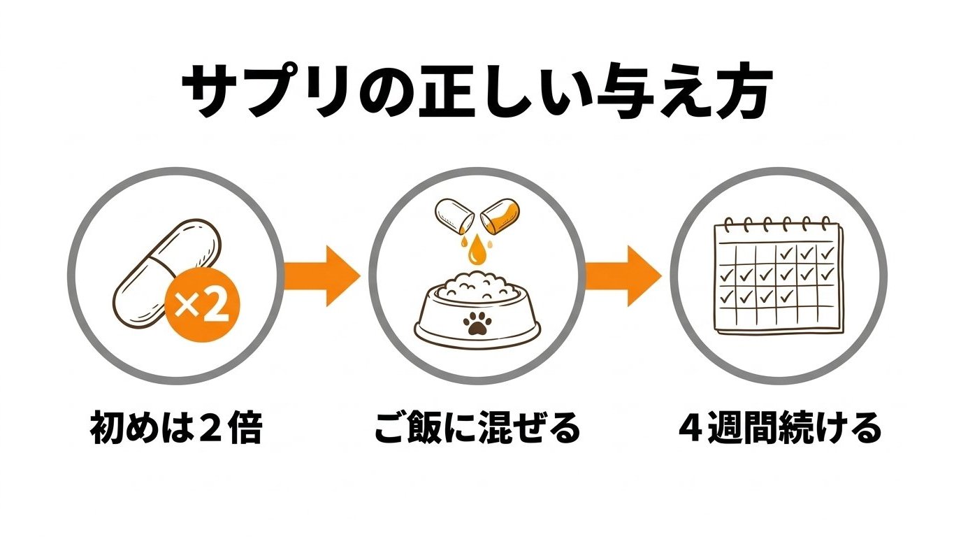 愛犬の自力歩行を守る4大ケア習慣(環境改善・体重管理・散歩補助・関節サポート)