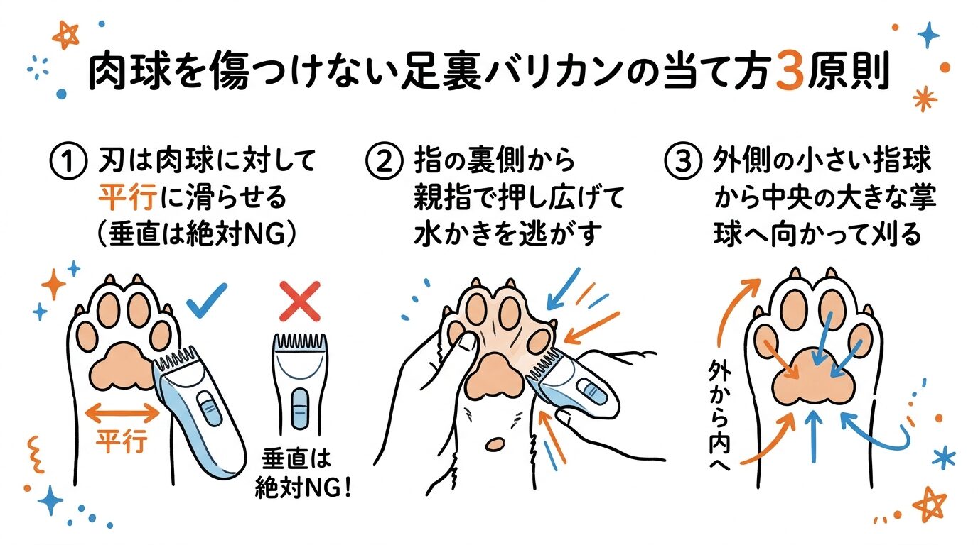 肉球を傷つけない足裏バリカンの平行当てと安全な保定手順3原則