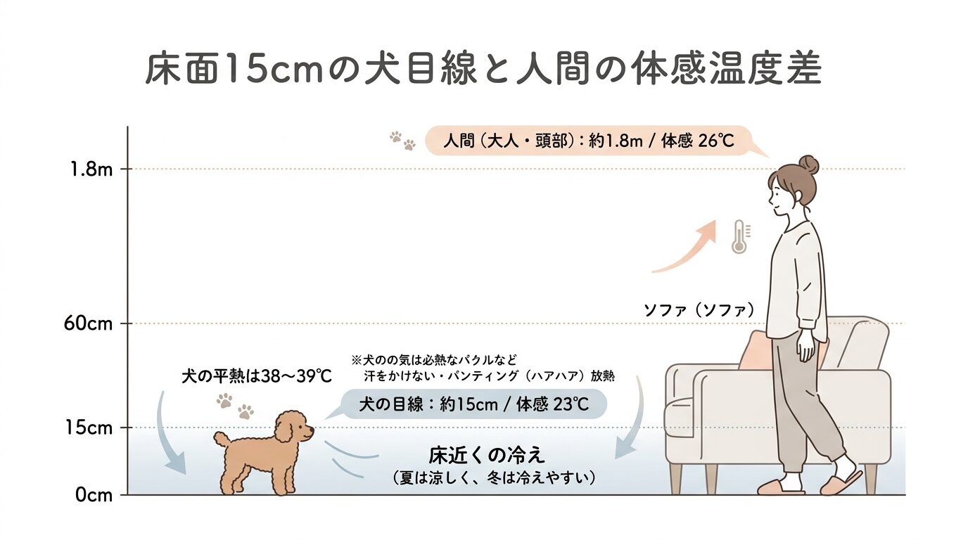 人間と犬の体感温度の違いと床面15cmの温度勾配