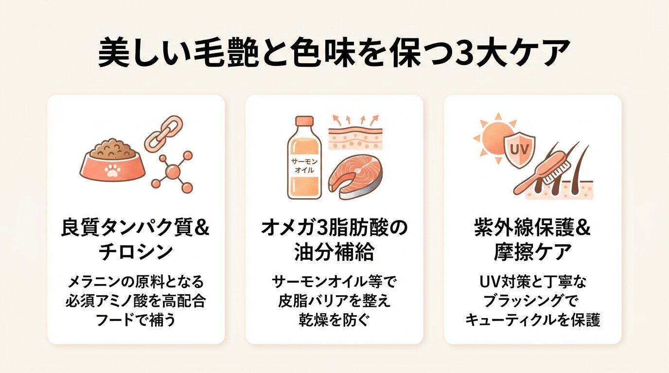 美しい毛艶と色味を保つ3大ケアの図解